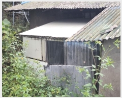  2024Ÿ��5553  ���ð��