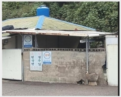  2024Ÿ��5553  ���ð��