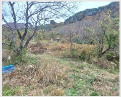  2024Ÿ5928 泲 û   789-1      (Ӿ)