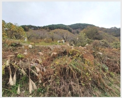  2024Ÿ5928 泲 û   789-1      (Ӿ)