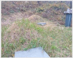  2024Ÿ5928 泲 û   789-1      (Ӿ)