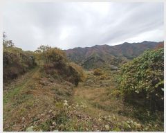  2024Ÿ5928 泲 û   789-1      (Ӿ)