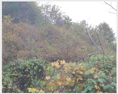  2024Ÿ5928 泲 û   789-1      (Ӿ)