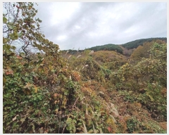  2024Ÿ5928 泲 û   789-1      (Ӿ)