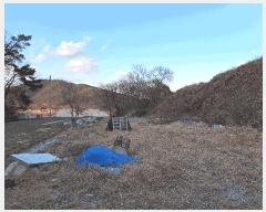  2024Ÿ6389 泲 û ݼ žƸ 1000      ,â