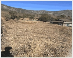  2024Ÿ6679 泲 õ ͷ浿 271-7       (1)