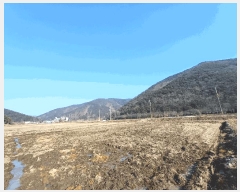  2024Ÿ��6785 �泲 ��õ�� �糲�� ��õ�� 541      ����(��)���