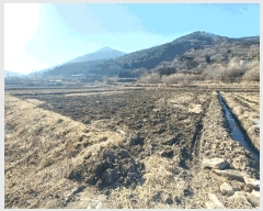  2024Ÿ��6785 �泲 ��õ�� �糲�� ��õ�� 541      ����(��)���