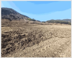  2024Ÿ��6785 �泲 ��õ�� �糲�� ��õ�� 541      ����(��)���