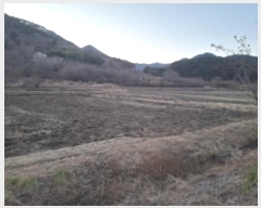  2024Ÿ��6785 �泲 ��õ�� �糲�� ��õ�� 541      ����(��)���