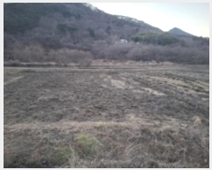  2024Ÿ��6785 �泲 ��õ�� �糲�� ��õ�� 541      ����(��)���