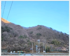  2024Ÿ6839 泲 û õ 븮 323-2      ()