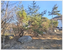  2024Ÿ6839 泲 û õ 븮 264-10      ܵ,ð