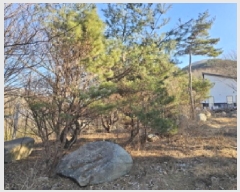  2024Ÿ6839 泲 û õ 븮 264-10      ܵ,ð