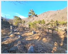  2024Ÿ6839 泲 û õ 븮 264-10      ܵ,ð