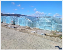  2024Ÿ��30160 �泲 �ϵ��� �ϵ��� ���� 18-1      ����(��)���