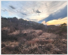  2024Ÿ��30733 �泲 �ϵ��� �ݳ��� ��õ�� 470      ����(��)���