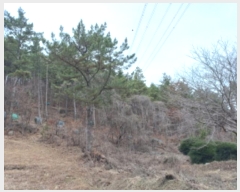  2024Ÿ��31286 �泲 ��õ�� �׸��� ��36-1       ����(�Ӿ�)���