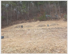  2024Ÿ��31286 �泲 ��õ�� �׸��� ��36-1       ����(�Ӿ�)���