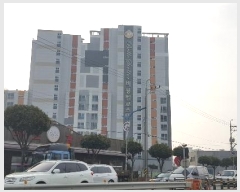  2024Ÿ31330 泲 õ ߾ӷ 238, 3303ȣ (밭,溧νڶ)     Ʈ