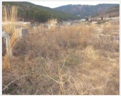  2024Ÿ��31385 �泲 ��õ�� �Ǿȵ� 662       ����(��1)���