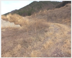  2024Ÿ��31385 �泲 ��õ�� �Ǿȵ� 662       ����(��1)���