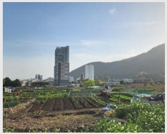  2024Ÿ32883 泲 õ ߾ӷ 238, 7704ȣ (밭,溧νڶ)     Ʈ