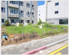  2024Ÿ32982 泲 ֽ  1706-4       ()