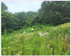  2024Ÿ35523 泲 ر   1339-37      (1)