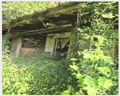  2024Ÿ36304 泲 ֽ  縮 519      (1)