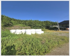  2024Ÿ36304 泲 ֽ  縮 519      (1)