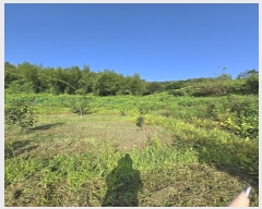  2024Ÿ36304 泲 ֽ  縮 519      (1)