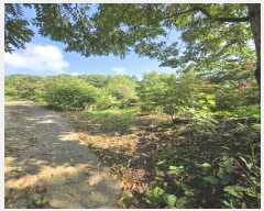  2024Ÿ36304 泲 ֽ  縮 519      (1)