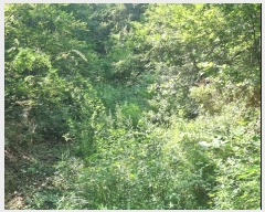  2024Ÿ��36519 �泲 �ϵ��� ������ �Ƚɸ� ��29-10      ����(����)���