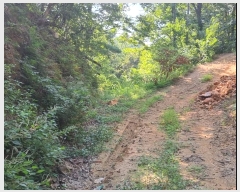  2024Ÿ��36519 �泲 �ϵ��� ������ �Ƚɸ� ��29-10      ����(����)���