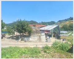  2024Ÿ36847 泲 û ܼ  1012-7      ð