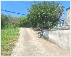  2024Ÿ36847 泲 û ܼ  1012-7      ð