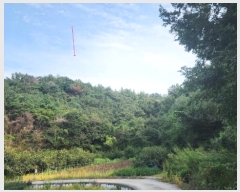  2024Ÿ36922 泲 ϵ ݼ  84-5      (Ӿ)