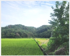  2024Ÿ36922 泲 ϵ ݼ  84-5      (Ӿ)