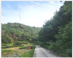  2024Ÿ36922 泲 ϵ ݼ  84-5      (Ӿ)