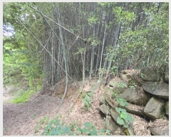  2024Ÿ��37291 �泲 ��û�� �ŵ�� ������ 510      ����(����)���