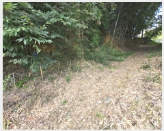  2024Ÿ��37291 �泲 ��û�� �ŵ�� ������ 510      ����(����)���