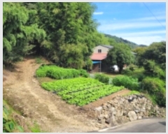  2024Ÿ��37291 �泲 ��û�� �ŵ�� ������ 510      ����(����)���