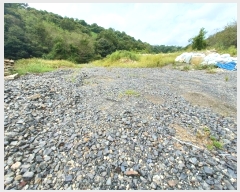  2024Ÿ��37390 �泲 ��õ�� ������ �ܱ��� 242      ����(��)���