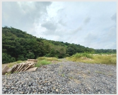  2024Ÿ��37390 �泲 ��õ�� ������ �ܱ��� 242      ����(��)���