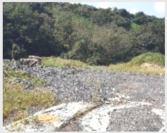  2024Ÿ��37390 �泲 ��õ�� ������ �ܱ��� 242      ����(��)���