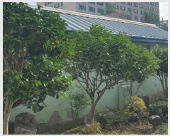  2024Ÿ37628 泲 ֽ 赿 10       ð