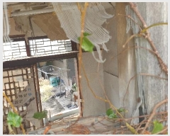  2024Ÿ37628 泲 ֽ 赿 10       ð