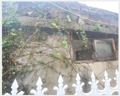  2024Ÿ37628 泲 ֽ 赿 10       ð