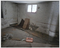  2024Ÿ38454 泲 ֽ ϴ뵿 352-5       ð